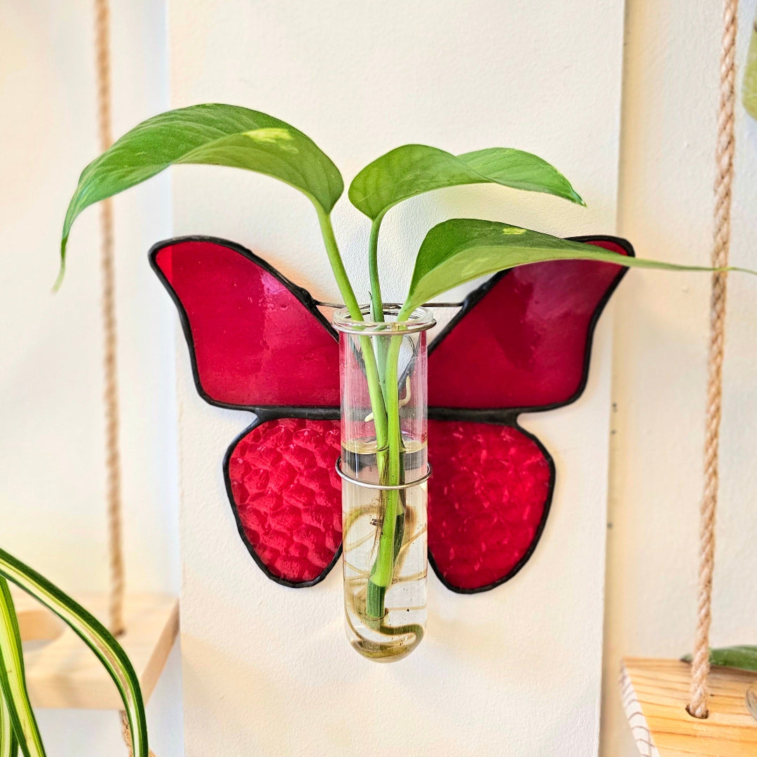 Bloom & Grow: Stained Glass Plant Holders