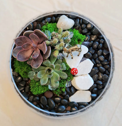 Living Landscapes: Terrarium Workshop