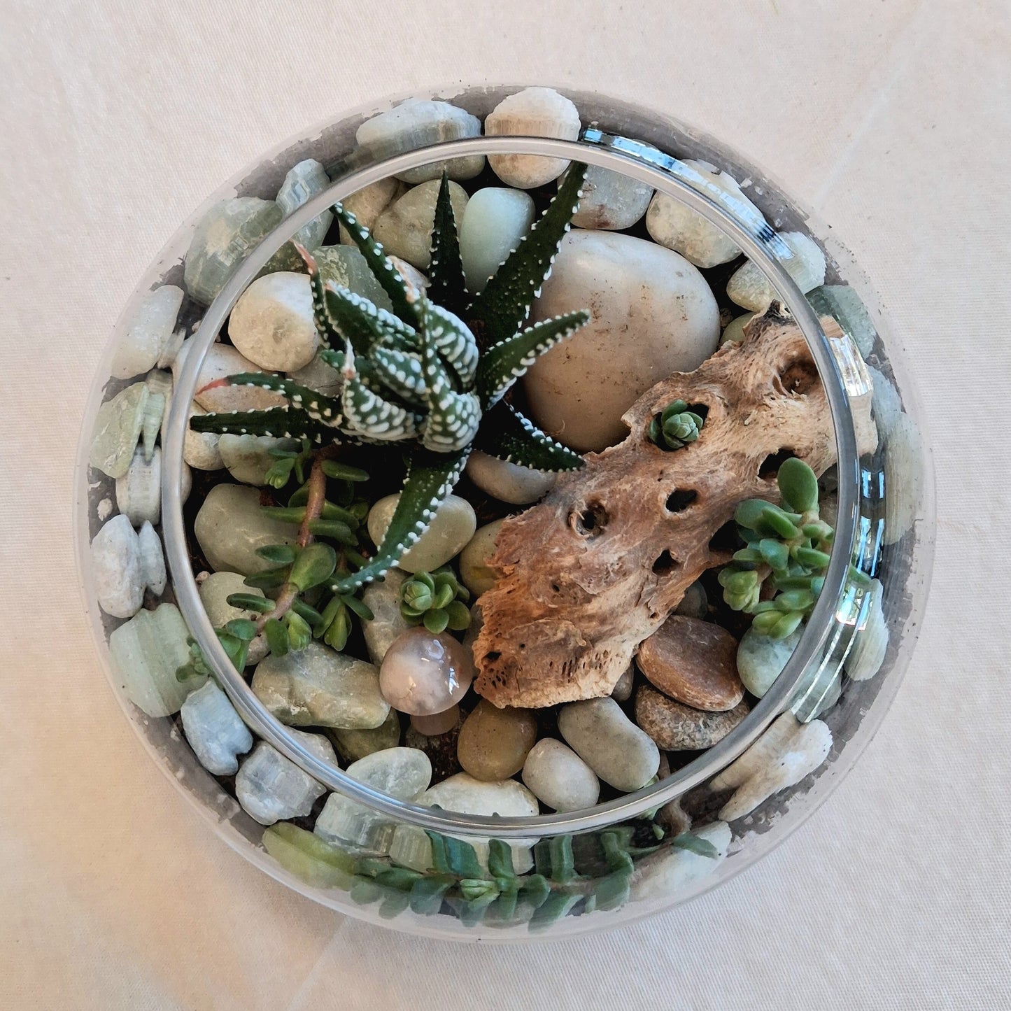 Tiny Landscapes: Terrarium Workshop