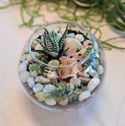Tiny Landscapes: Terrarium Workshop