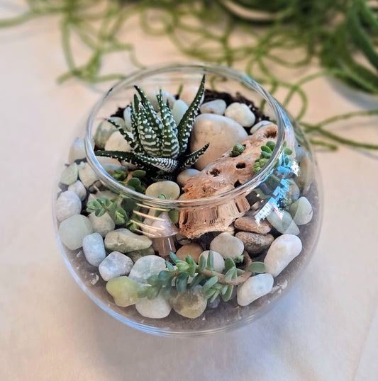 🌿Tiny Landscapes