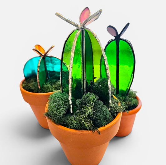 Sunlit Succulents: Stained Glass Cactus Workshop