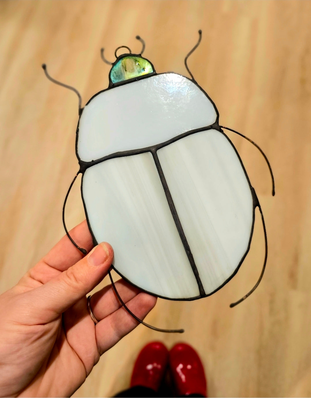 Wild Wonders: Stained Glass Mountains & Mushrooms