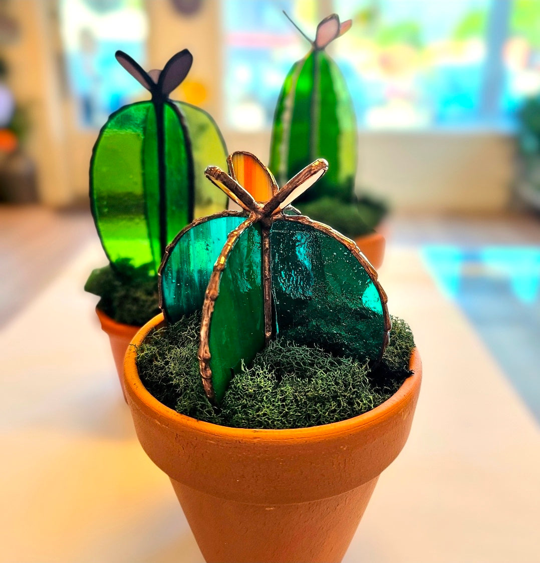 Sunlit Succulents: Stained Glass Cactus Workshop